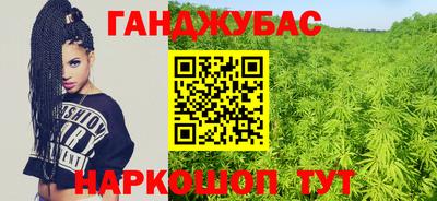 кокс Кингисепп