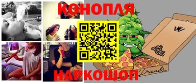 кокс Кингисепп