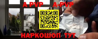 кокс Кингисепп