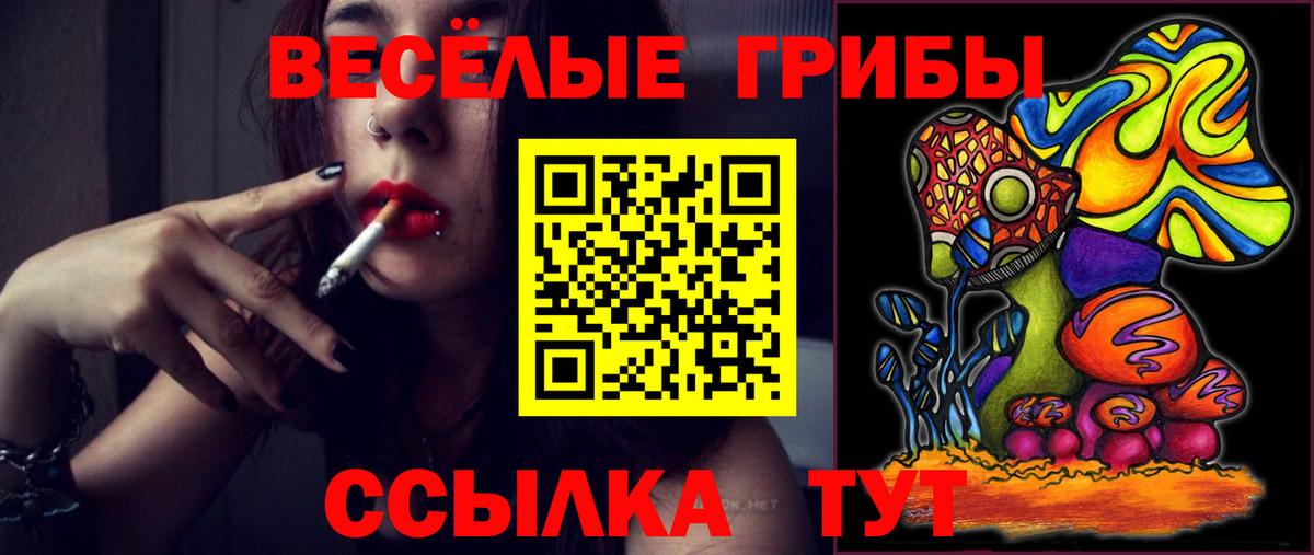 Псилоцибиновые грибы мухоморы Котлас