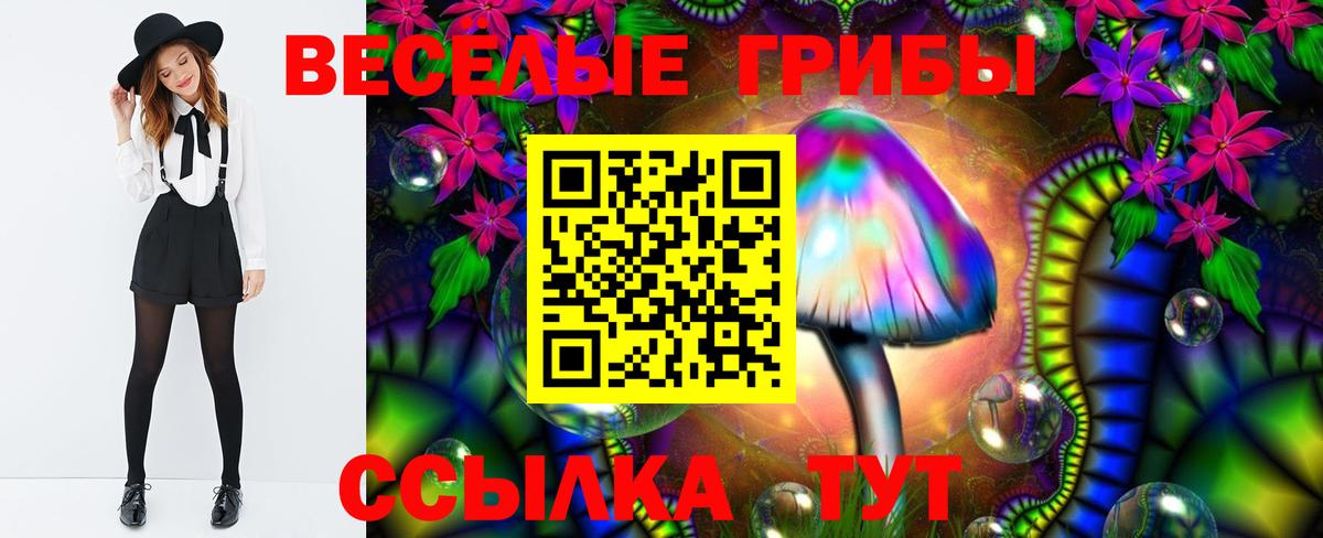 Галлюциногенные грибы Magic Shrooms  Псилоцибиновые грибы Cubensis  где найти   Котлас  Вход с VPN 