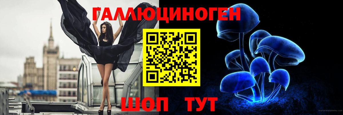 Котлас  Вход с VPN  Cocaine  Мефедрон кристаллы  Наркошоп  Амфетамин кристаллы  ГАШИШ  ГАШ  APVP СК кристаллы 